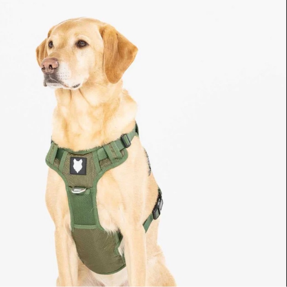 Fenrir Ragnar Dog Harness
